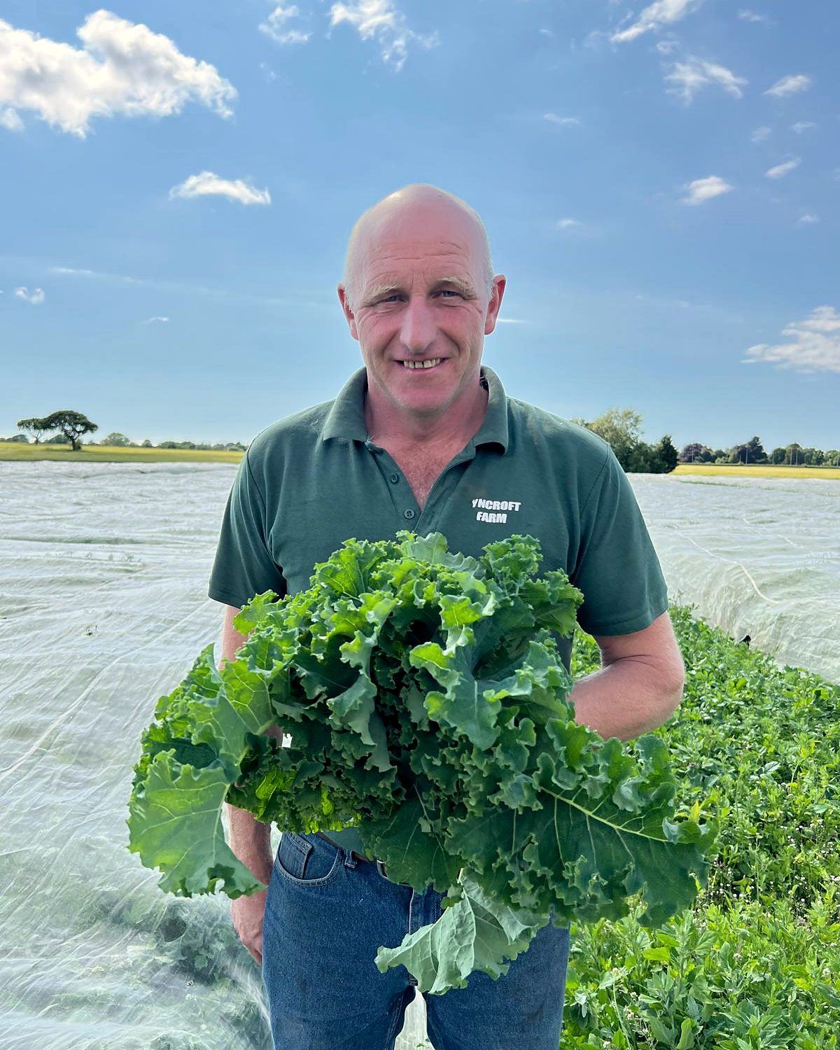 Duncan Gielty in the field at Lyncroft Farm, holding an armful of freshly picked kale