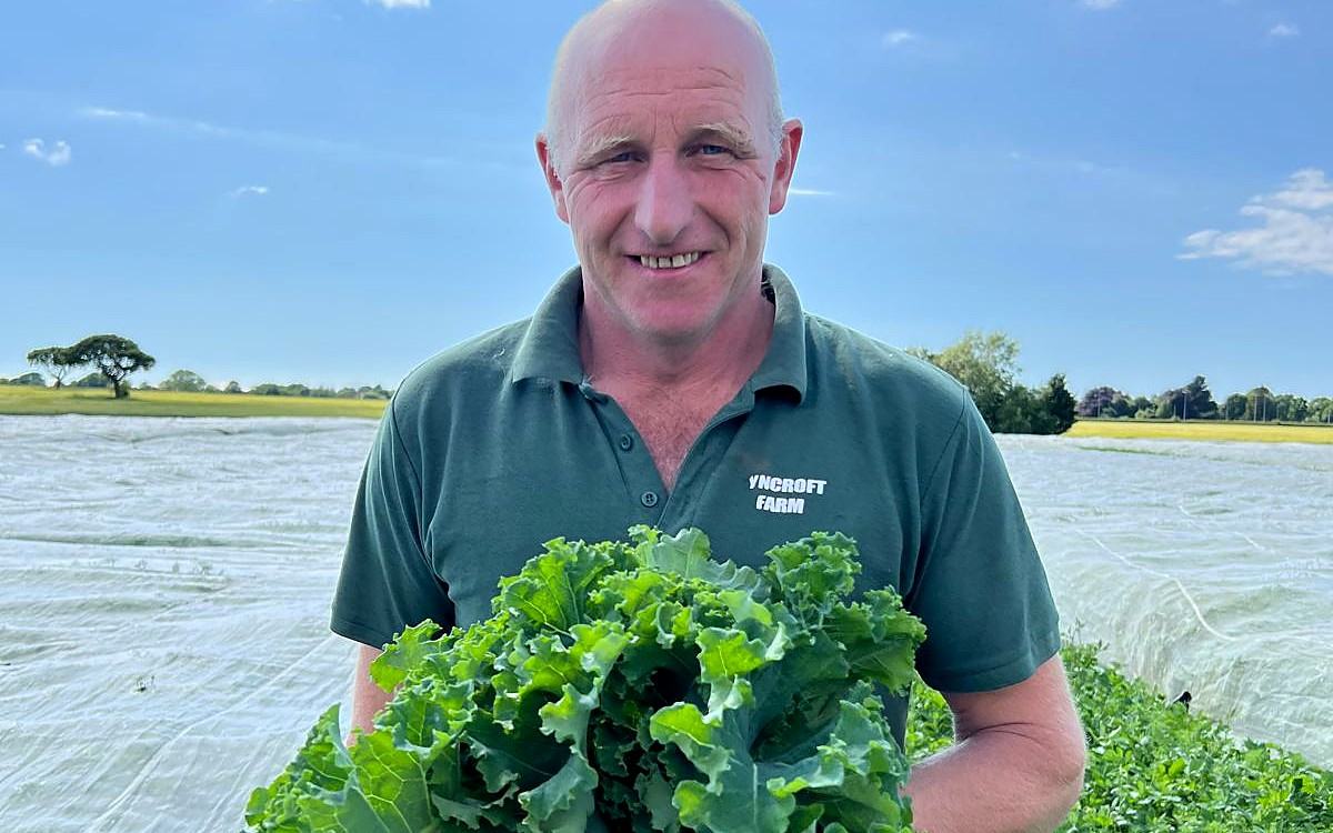 Duncan holding an armful of fresh kale in the field